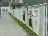 2011/4/30〜5/4 古林光一会長が大槌町での被災地支援活動を行ないました。